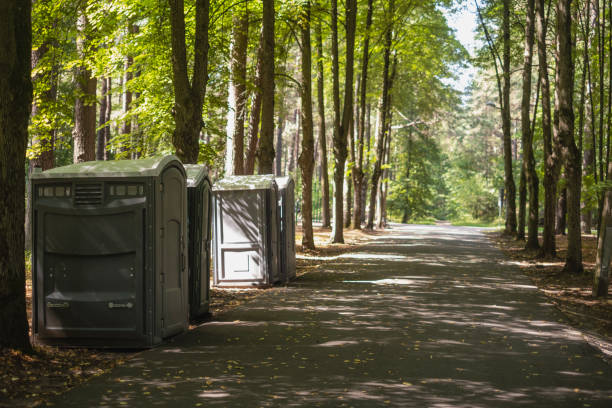 Best Luxury portable toilet rental  in Greenbriar, VA